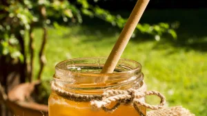 Le miel bio : un produit naturel aux multiples bienfaits