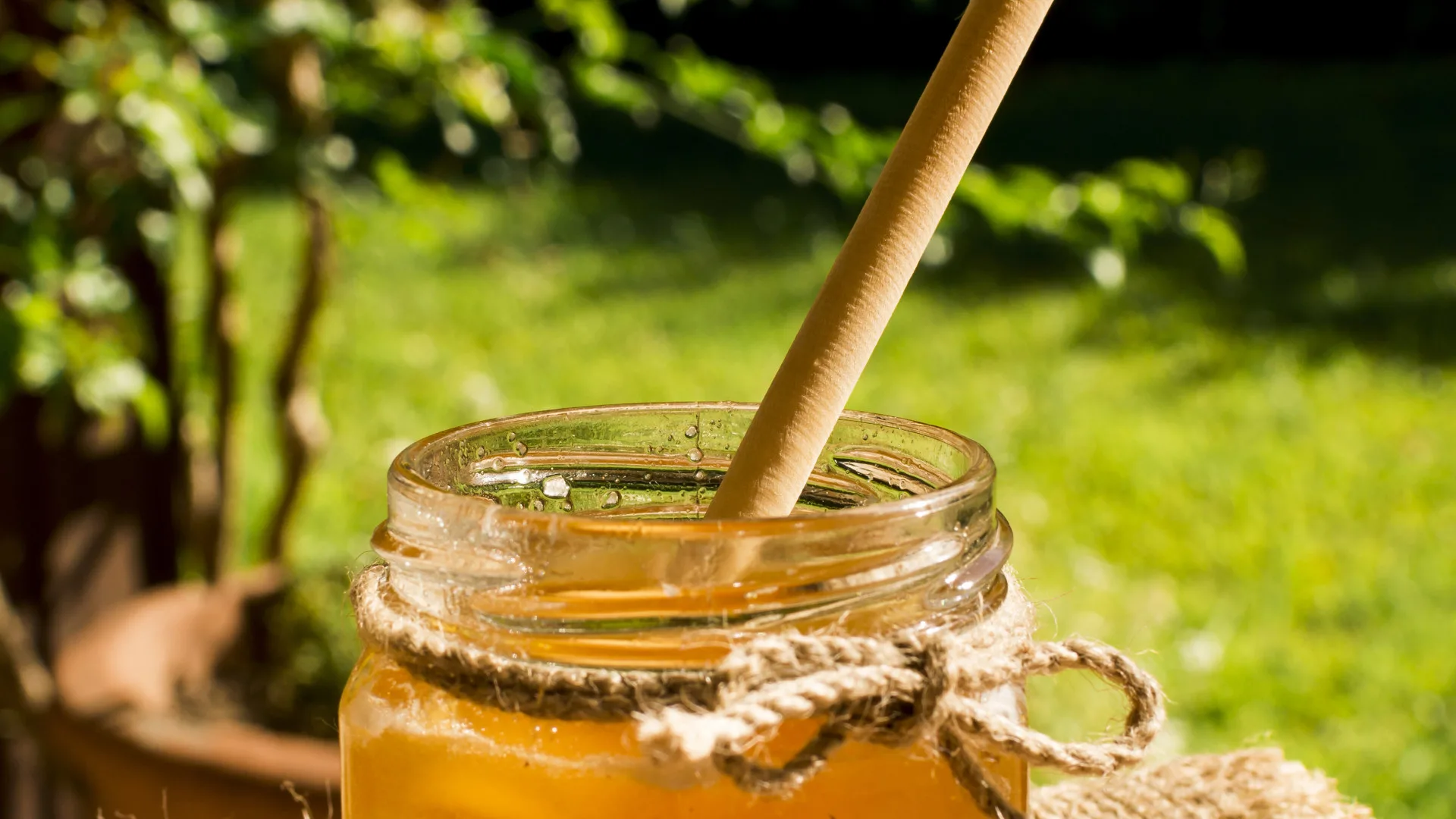 Le miel bio : un produit naturel aux multiples bienfaits